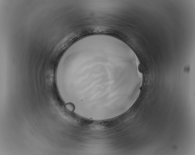 X0000112820648200909181626