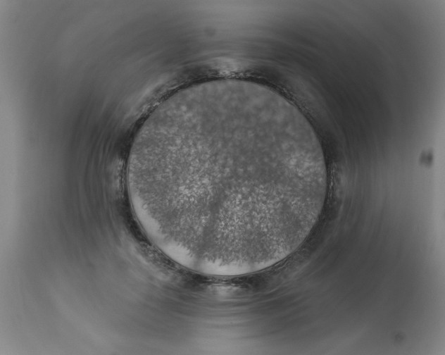 X0000112820650200909181626