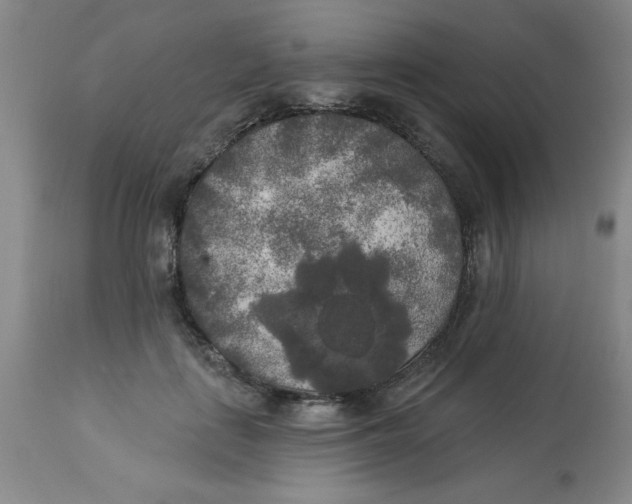 X0000112820651200909181626