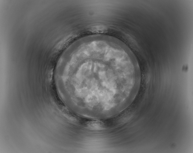 X0000112820652200909181626