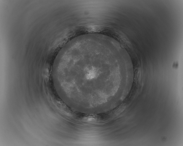 X0000112820655200909181626