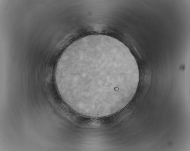 X0000112820656200909181626