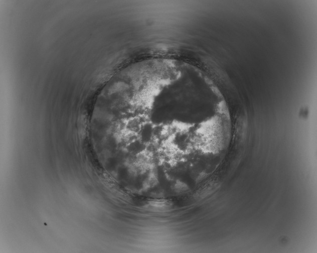 X0000112820659200909181626