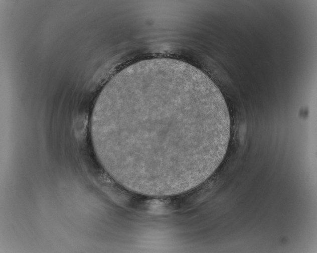 X0000112820660200909181626