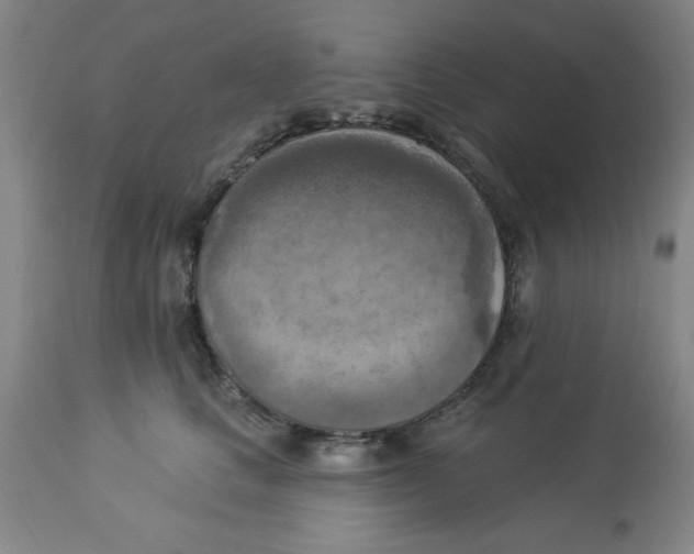 X0000112820661200909181626