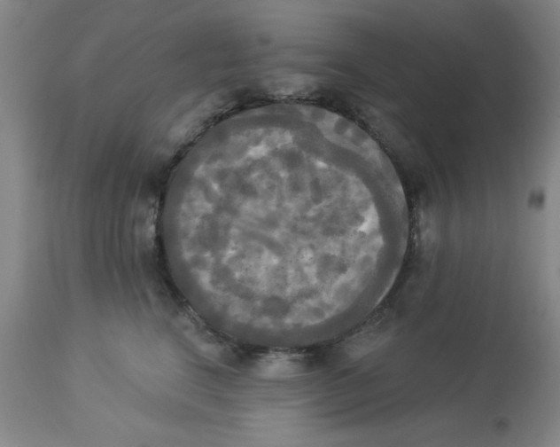 X0000112820664200909181626