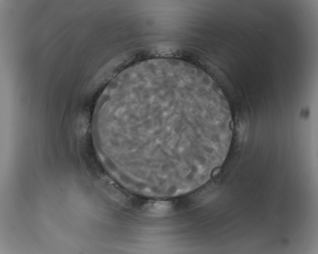 X0000112820665200909181626