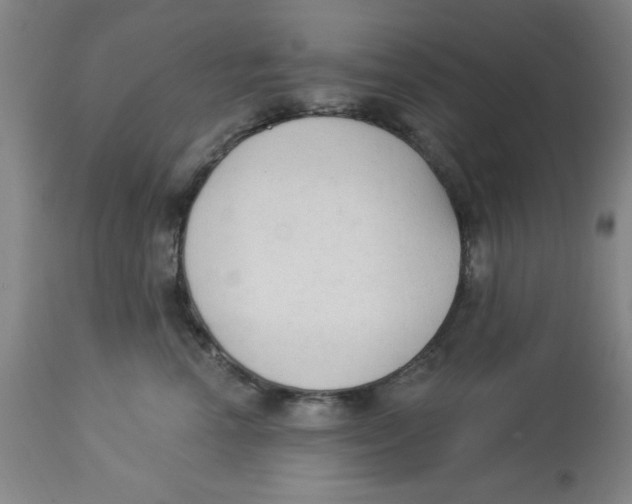 X0000112820666200909181626