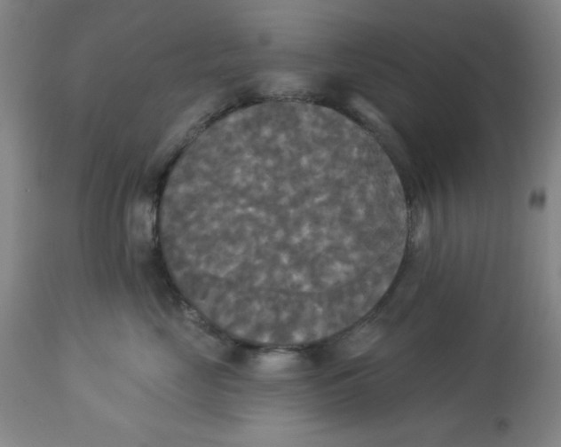 X0000112820669200909181626