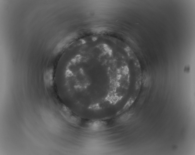 X0000112820670200909181626