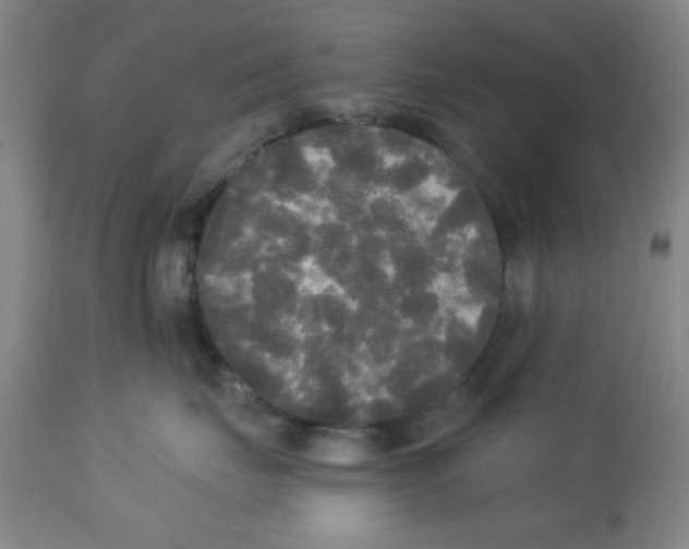 X0000112820671200909181626