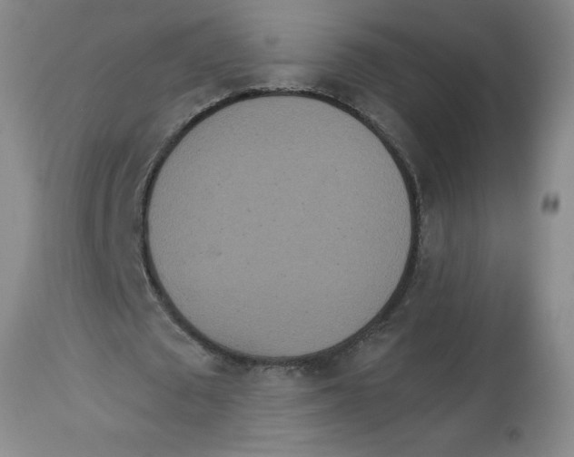 X0000112820673200909181625