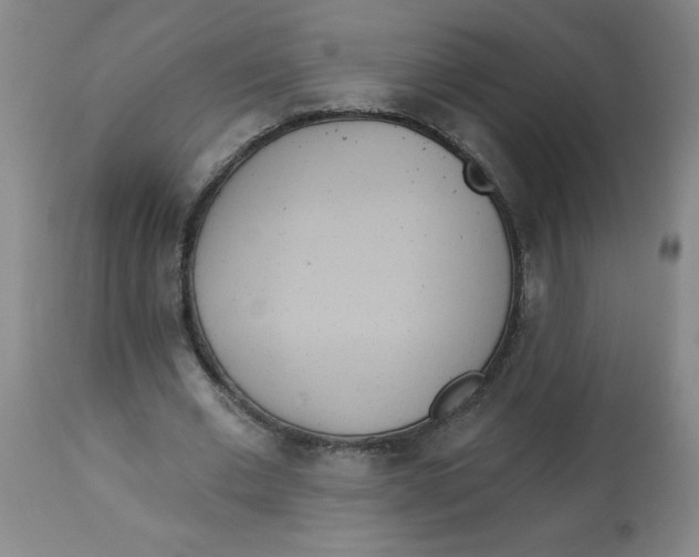 X0000112820677200909181625