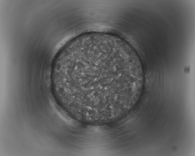 X0000112820679200909181625