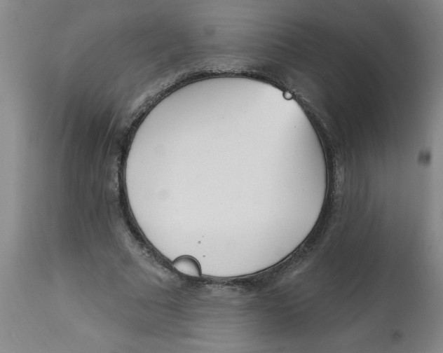 X0000112820681200909181625