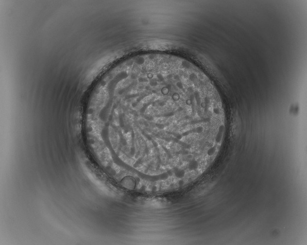 X0000112820683200909181625