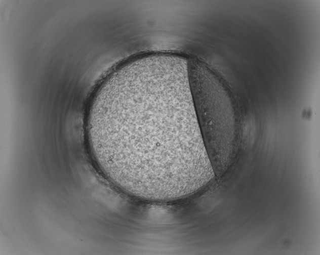 X0000112820684200909181625