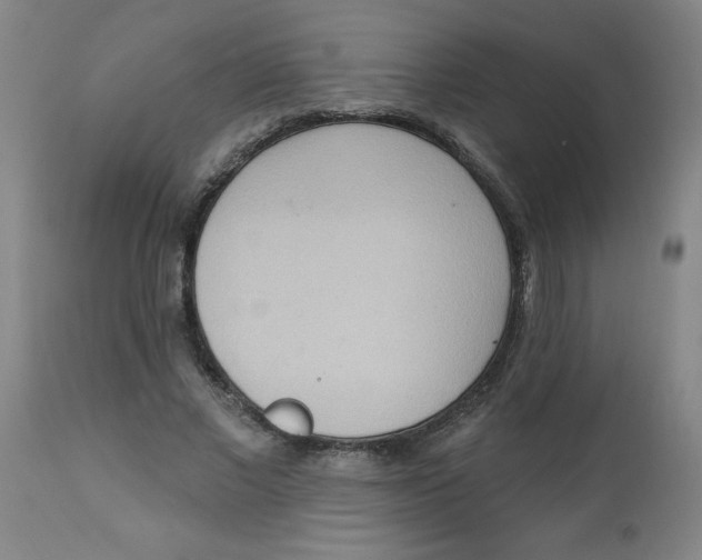 X0000112820685200909181625