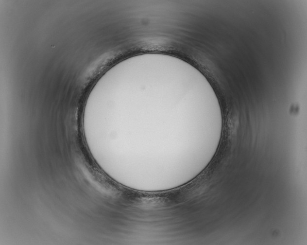 X0000112820686200909181625