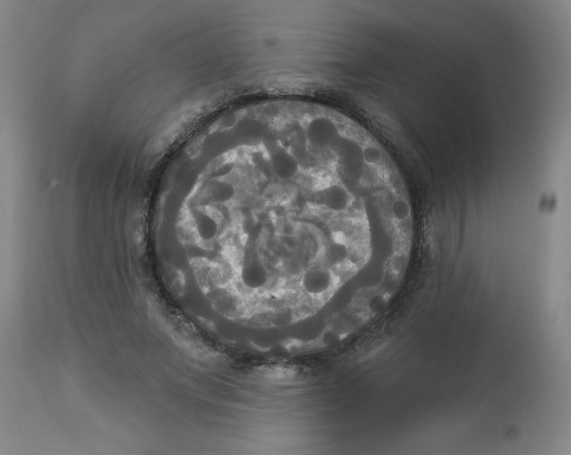 X0000112820687200909181625