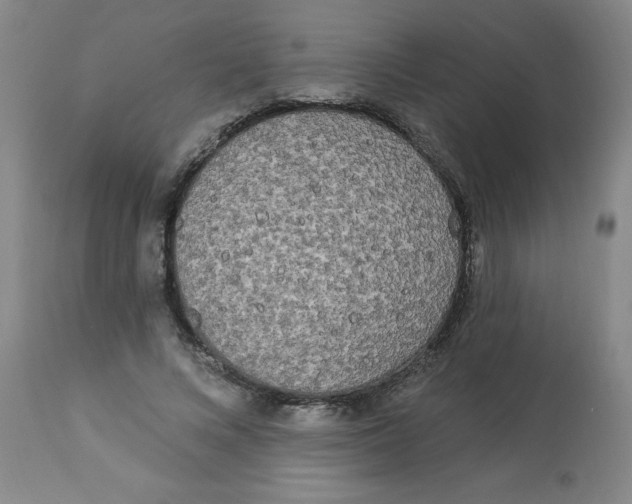 X0000112820688200909181625