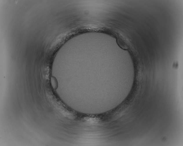 X0000112820689200909181625