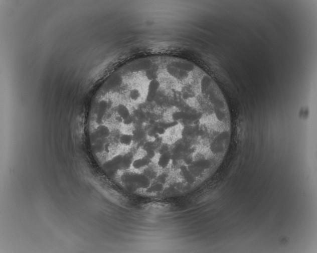 X0000112820691200909181625