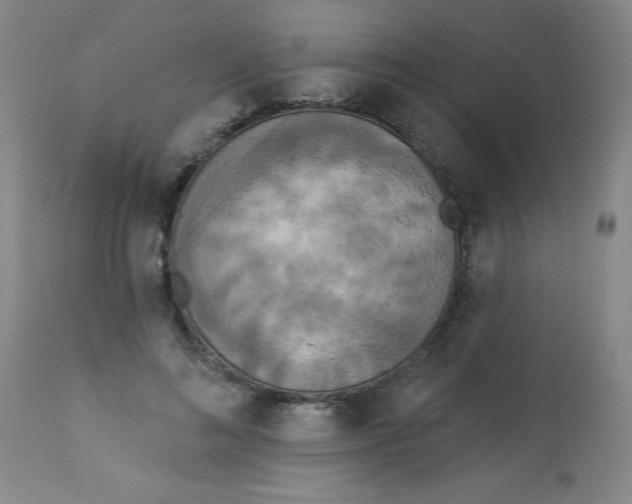 X0000112820692200909181625