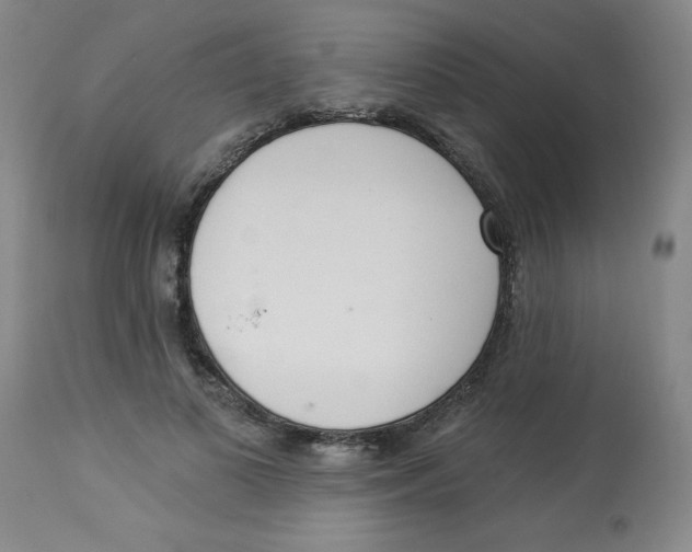 X0000112820693200909181625