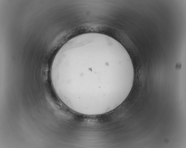 X0000112820694200909181625