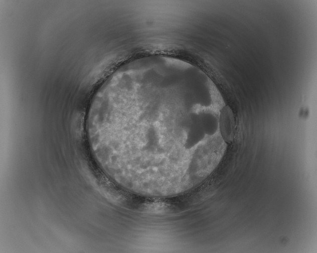 X0000112820695200909181625