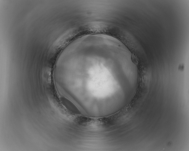 X0000112820696200909181625