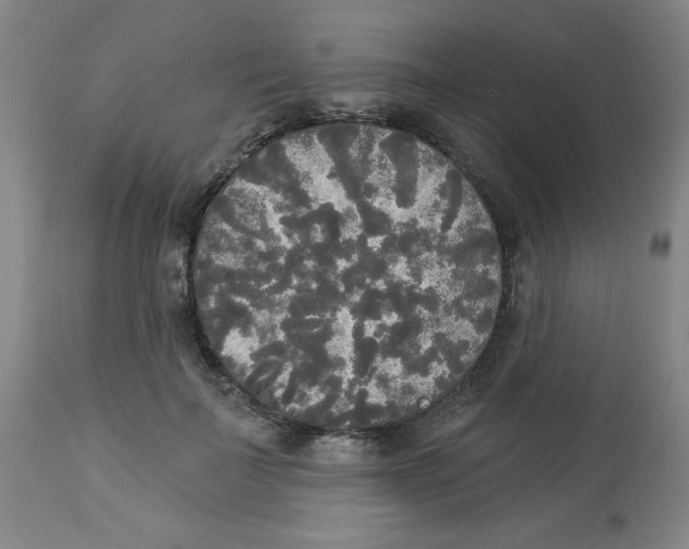 X0000112820699200909181625