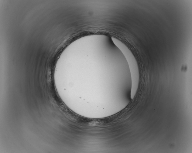 X0000112820700200909181625