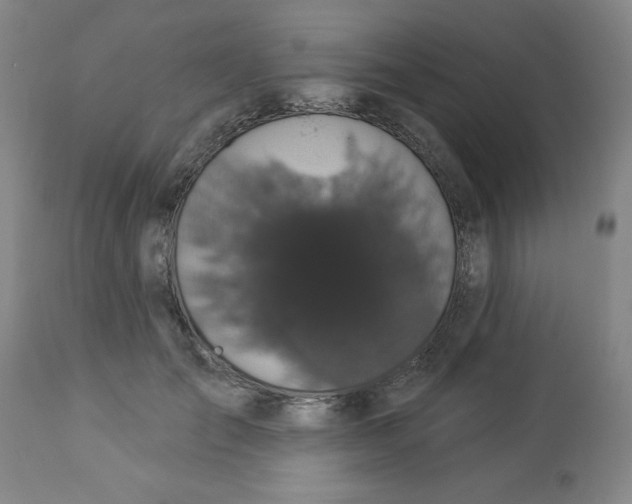 X0000112820701200909181625