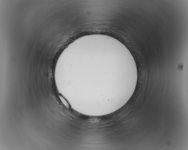 X0000112820704200909181625