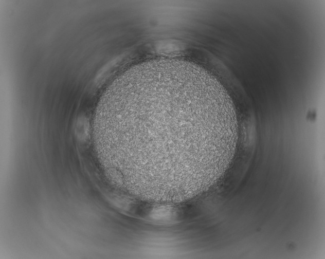 X0000112820705200909181625