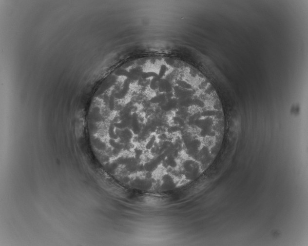 X0000112820707200909181625