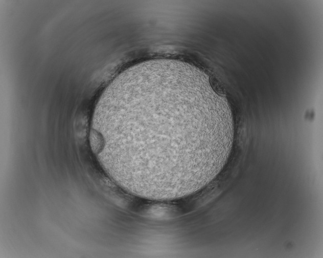 X0000112820708200909181625