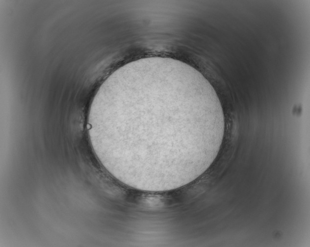 X0000112820710200909181625