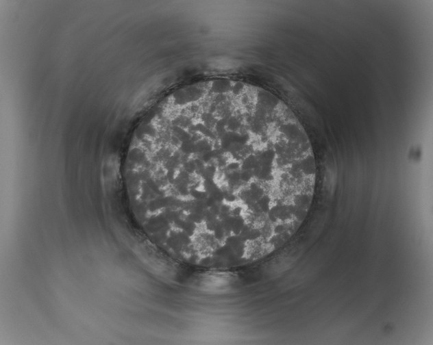 X0000112820711200909181625