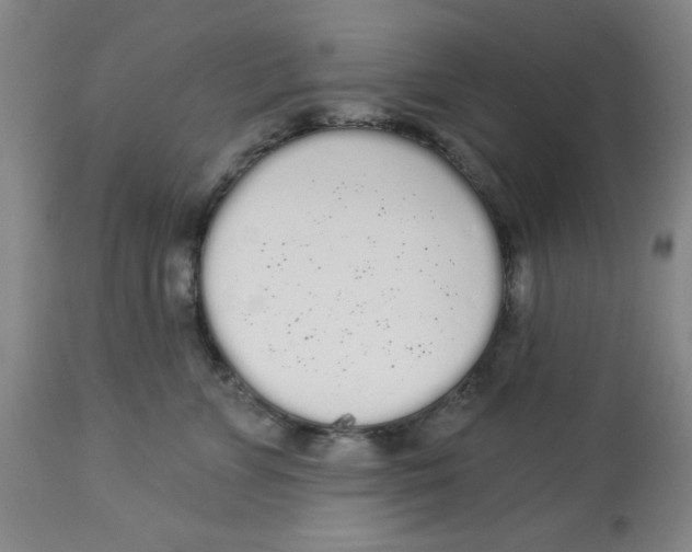 X0000112820715200909181625