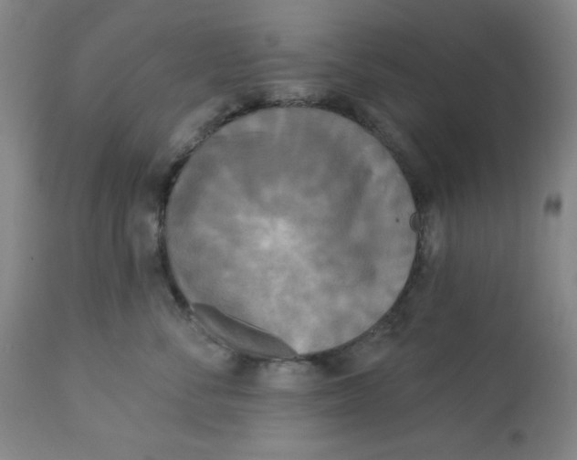 X0000112820716200909181625