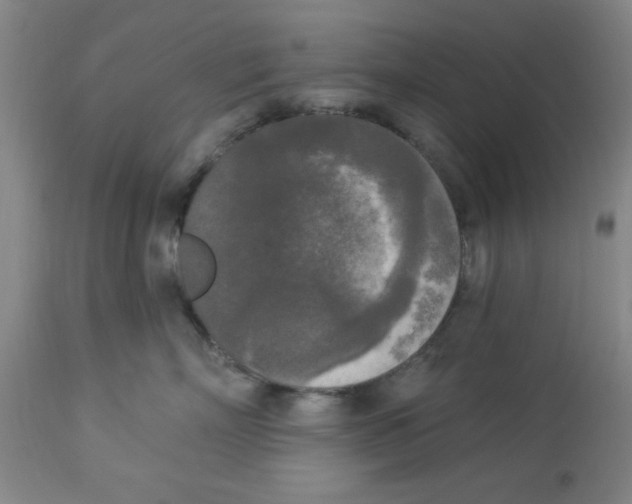 X0000112820718200909181625