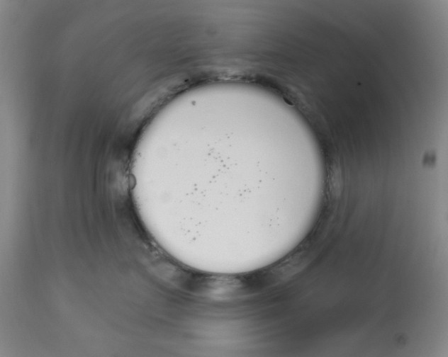 X0000112820719200909181625