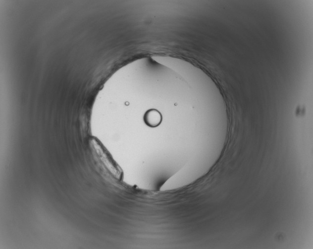 X0000112820720200909181625