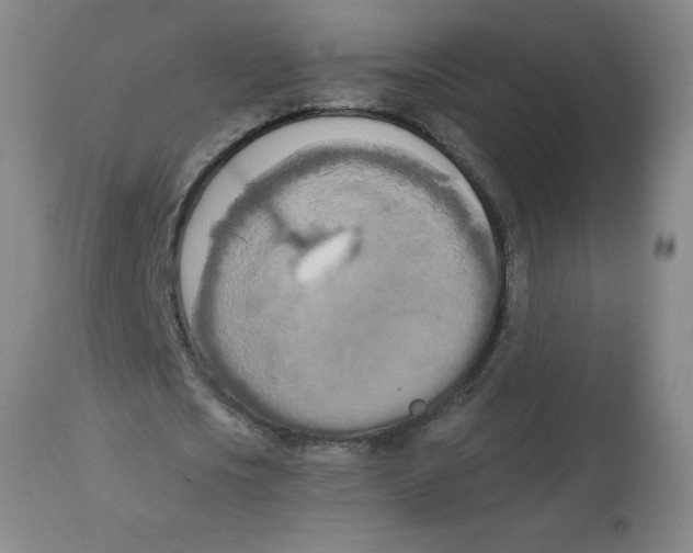 X0000112820721200909181624