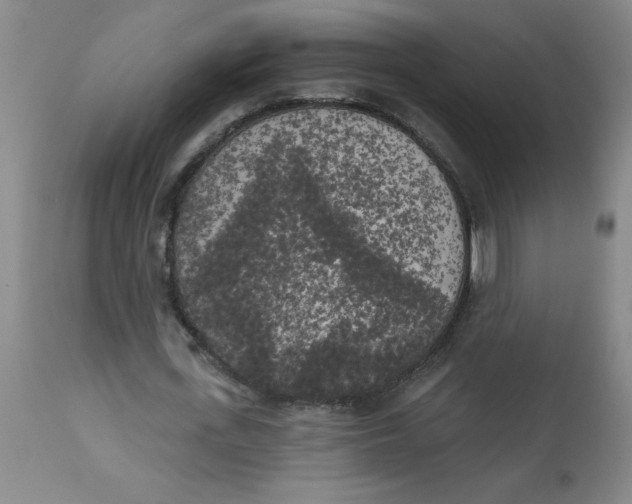 X0000112820723200909181624