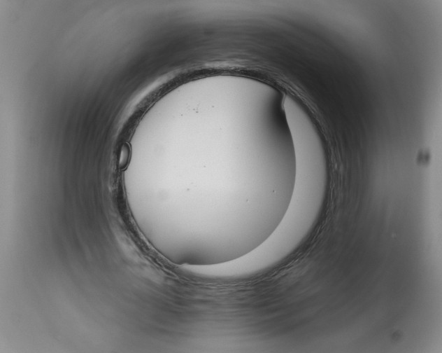 X0000112820724200909181624