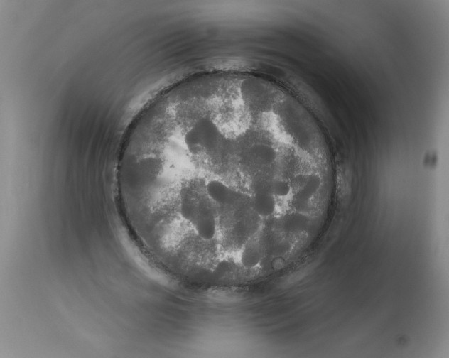 X0000112820725200909181624